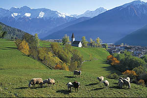 Burgeis bei Mals, Südtirol - [Nr.: burgeis-030.jpg] - © 1994 www.drescher.it