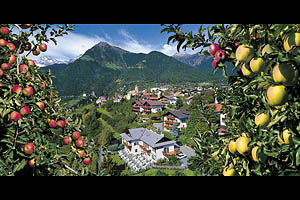 Dorf Tirol mit Äpfeln - [Nr.: dorf-tirol-aepfel-001.jpg] - © 1999 www.drescher.it