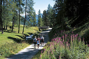 Schlinig, Vinschgau, Wandern - [Nr.: schlinig-wandern-001.jpg] - © 2000 www.drescher.it