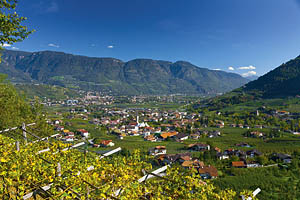 Algund bei Meran - [Nr.: algund-006.jpg] - © 2000 www.drescher.it