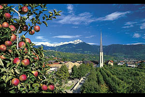 Algund bei Meran - [Nr.: algund-014.jpg] - © 1999 www.drescher.it