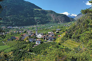 Algund bei Meran - [Nr.: algund-019.jpg] - © 1992 www.drescher.it