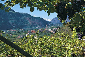 Algund bei Meran - [Nr.: algund-021.jpg] - © 1997 www.drescher.it