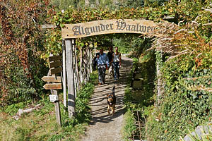 Waalweg von Algund - [Nr.: algund-waalweg-002.jpg] - © 2000 www.drescher.it