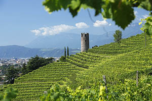 Bozen, Südtirol, Gescheibter Turm - [Nr.: bozen-gescheibter-turm-004.jpg] - © 2014 www.drescher.it