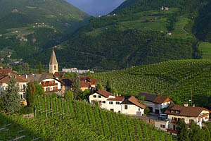 Bozen, Südtirol, St. Magdalena - [Nr.: bozen-st-magdalena-001.jpg] - © 2013 www.drescher.it