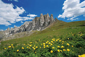 Dolomiten:Sellatürme - [Nr.: dolomiten-sellatuerme-001.jpg] - © 2004 www.drescher.it