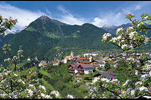 Dorf Tirol mit Apfelblüte - [Nr.: dorf-tirol-apfelbluete-001.jpg] - © 2003 www.drescher.it