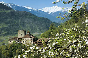 Schloss Thurnstein bei Dorf Tirol - [Nr.: dorf-tirol-schloss-thurnstein-004.jpg] - © 2000 www.drescher.it