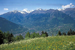 Hafling bei Meran - [Nr.: hafling-002.jpg] - © 1998 www.drescher.it