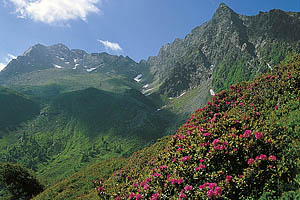 Jaufenpass, Passeiertal - [Nr.: jaufen-001.jpg] - © 1998 www.drescher.it