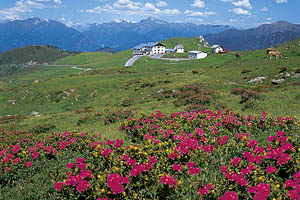 Jaufenpass, Passeiertal - [Nr.: jaufenhaus-003.jpg] - © 1996 www.drescher.it