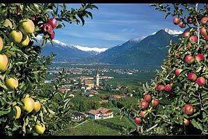 Lana bei Meran, Niederlana - [Nr.: lana-niederlana-009.jpg] - © 1999 www.drescher.it