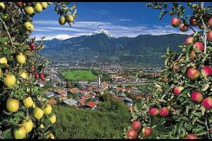 Marling bei Meran - [Nr.: marling-018.jpg] - © 1999 www.drescher.it