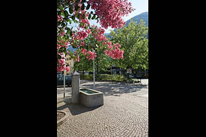 Marling bei Meran - [Nr.: marling-023.jpg] - © 2009 www.drescher.it