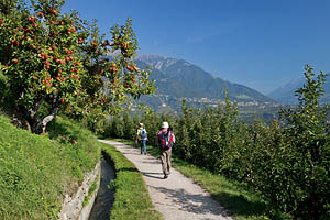 Marling bei Meran, Waalweg - [Nr.: marlinger-waalweg-004.jpg] - © 2011 www.drescher.it