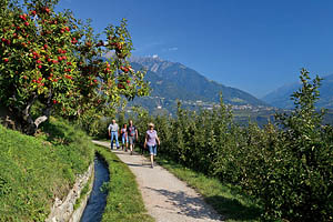 Marling bei Meran, Waalweg - [Nr.: marlinger-waalweg-005.jpg] - © 2011 www.drescher.it