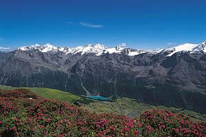 Das Martelltal in Südtirol - [Nr.: martelltal-049.jpg] - © 1998 www.drescher.it