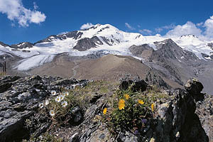 Das Martelltal in Südtirol - [Nr.: martelltal-bergsteigen-003.jpg] - © 1992 www.drescher.it