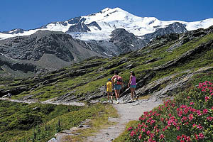 Wandern im Martelltal - [Nr.: martelltal-wandern-006.jpg] - © 1996 www.drescher.it