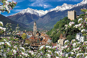 Meran mit Apfelblüten - [Nr.: meran-blueten-001.jpg] - © 1995 www.drescher.it