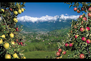 Meran Panorama - [Nr.: meran-panorama-023.jpg] - © 1999 www.drescher.it