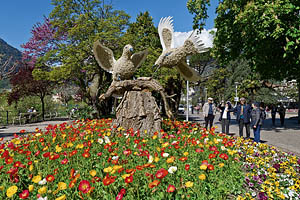 Meran Promenade, Blumenbeet Tauben - [Nr.: meran-promenade-014.jpg] - © 2012 www.drescher.it