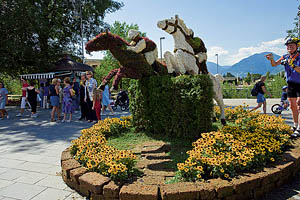 Meran Promenade, Blumenskulptur Pferde - [Nr.: meran-promenade-021.jpg] - © 2009 www.drescher.it