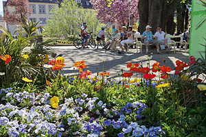 Meran Promenade, Blumenbeet - [Nr.: meran-promenade-029.jpg] - © 2013 www.drescher.it