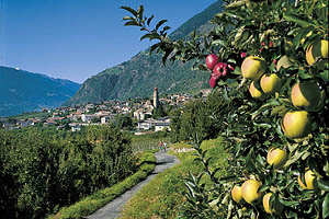 Partschins bei Meran - [Nr.: partschins-009.jpg] - © 1999 www.drescher.it