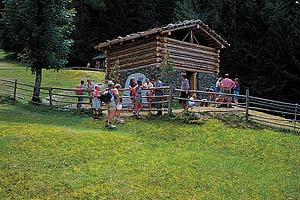 Passeiertal, Pfandleralm - [Nr.: passeiertal-pfandleralm-001.jpg] - © 1997 www.drescher.it