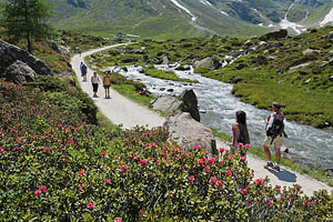 Pfelders im Passeiertal - [Nr.: pfelders-016.jpg] - © 2010 www.drescher.it