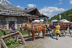 Pfelders im Passeiertal, Lazins - [Nr.: pfelders-lazins-006.jpg] - © 2010 www.drescher.it