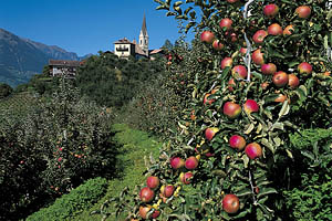 Schenna, St. Georgen - [Nr.: schenna-st-georgen-005.jpg] - © 1999 www.drescher.it