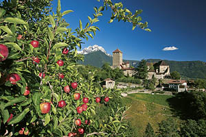 Schloss Tirol bei Meran - [Nr.: schloss-tirol-012.jpg] - © 2005 www.drescher.it