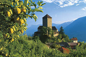 Schloss Tirol bei Meran - [Nr.: schloss-tirol-013.jpg] - © 1995 www.drescher.it