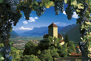 Schloss Tirol bei Meran - [Nr.: schloss-tirol-014.jpg] - © 1999 www.drescher.it