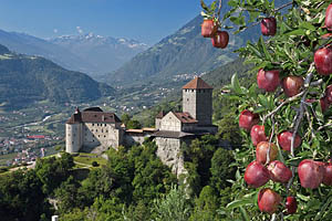 Schloss Tirol bei Meran - [Nr.: schloss-tirol-020.jpg] - © 2011 www.drescher.it