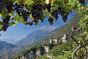 Schloss Tirol bei Meran - [Nr.: schloss-tirol-021.jpg] - © 2011 www.drescher.it