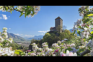 Schloss Tirol im Frühling - [Nr.: schloss-tirol-fruehling.jpg] - © 2019 www.drescher.it