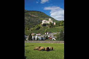 Churburg in Schluderns, Südtirol - [Nr.: schluderns-churburg-002.jpg] - © 2006 www.drescher.it