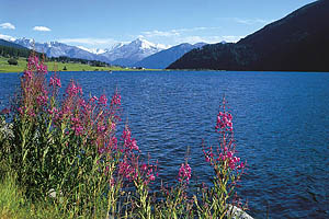 St. Valentin auf der Haide, Haidersee - [Nr.: st-valentin-haidersee-001.jpg] - © 1997 www.drescher.it