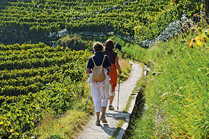 Herbst in Südtirol - [Nr.: suedtirol-im-herbst-002.jpg] - © 2011 www.drescher.it