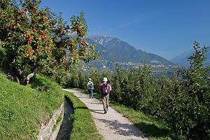 Herbst in Südtirol - [Nr.: suedtirol-im-herbst-003.jpg] - © 2011 www.drescher.it