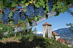 Südtirol im Herbst - [Nr.: suedtirol-im-herbst-006.jpg] - © 2011 www.drescher.it