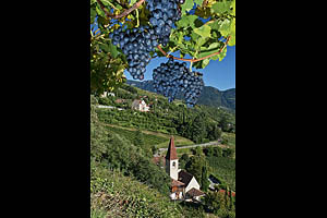Südtirol im Herbst - [Nr.: suedtirol-im-herbst-007.jpg] - © 2011 www.drescher.it