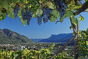 Südtirol im Herbst - [Nr.: suedtirol-im-herbst-008.jpg] - © 2011 www.drescher.it