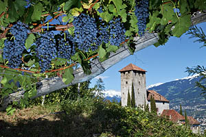 Tscherms bei Meran, Schloss Lebenberg - [Nr.: tscherms-schloss-lebenberg-005.jpg] - © 2011 www.drescher.it