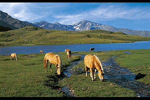 Weissbrunn im Ultental - [Nr.: ultental-weissbrunn-011.jpg] - © 1996 www.drescher.it