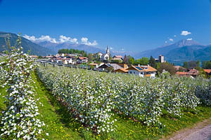 Völlan bei Meran - [Nr.: voellan-012.jpg] - © 2007 www.drescher.it